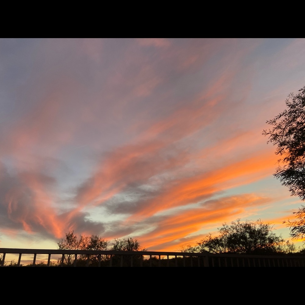 Meet your Posher, Jailyn